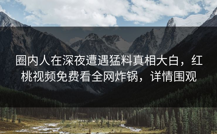 圈内人在深夜遭遇猛料真相大白,红桃视频免费看全网炸锅,详情围观